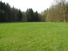 Kr�sn� nov� louka.