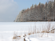 Janovi�ky v zim�.